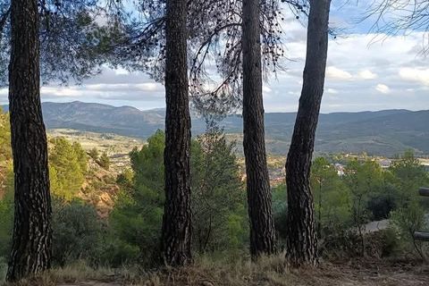 Rækkehus i Cocentaina, Alicante, Cocentaina - € 64.500 | Ref: 20233/12462 - foto 19