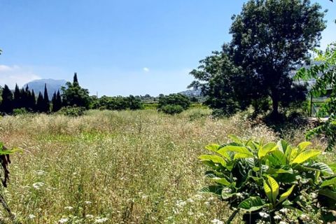 Terra a Ondara, Alicante, Ondara - € 89.000 | Ref: P220 - foto 4