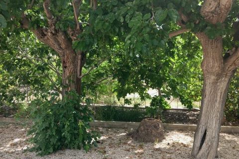 Landejendom i Redovan, Alicante, Redovan - € 270.000 | Ref: AG19MLSC5330664 - foto 8