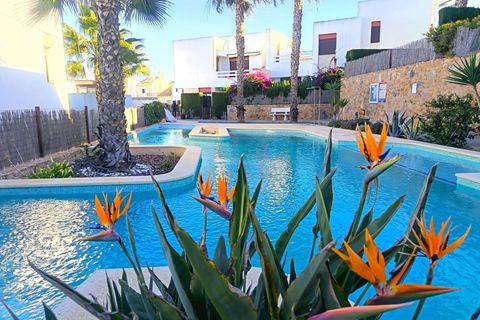 Apartamento en Algorfa, Alicante, Algorfa - € 234.995 | Ref: AG19MLSC7055295 - photo 35