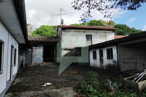 Villa i Barcelos, Braga, Barcelos - € 530.000 | Ref: 001933 - foto 7