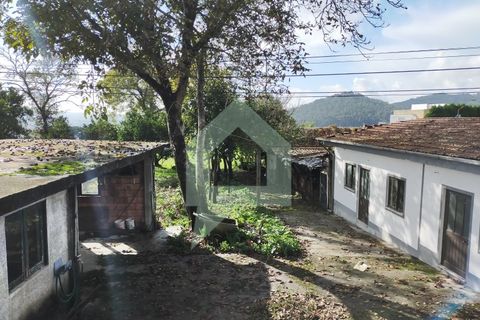 Villa i Barcelos, Braga, Barcelos - € 530.000 | Ref: 001933 - foto 10