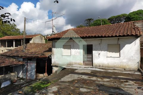 Villa i Barcelos, Braga, Barcelos - € 530.000 | Ref: 001933 - foto 11