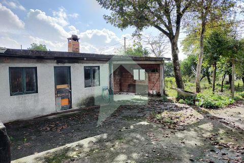 Villa i Barcelos, Braga, Barcelos - € 530.000 | Ref: 001933 - foto 12