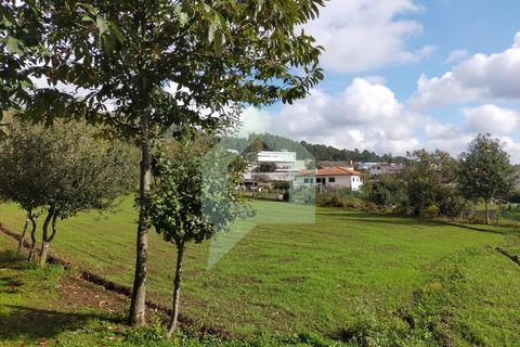 Villa i Barcelos, Braga, Barcelos - € 530.000 | Ref: 001933 - foto 13
