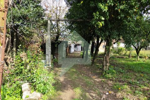 Villa i Barcelos, Braga, Barcelos - € 530.000 | Ref: 001933 - foto 14