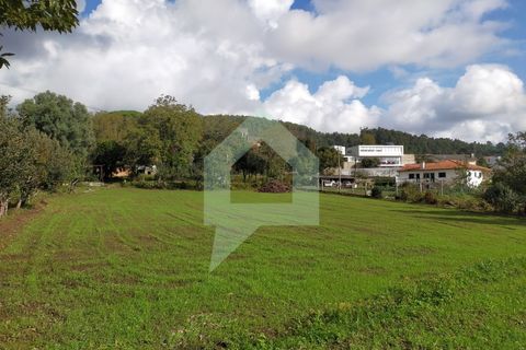 Villa i Barcelos, Braga, Barcelos - € 530.000 | Ref: 001933 - foto 17
