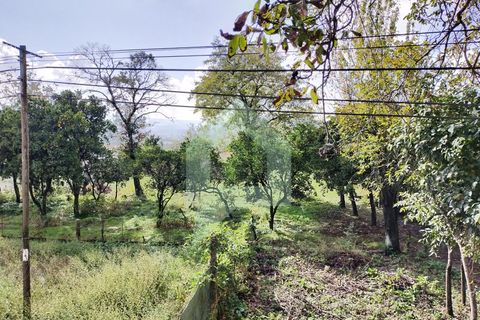 Villa i Barcelos, Braga, Barcelos - € 530.000 | Ref: 001933 - foto 18
