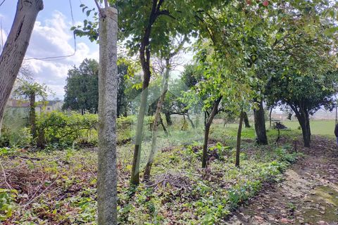 Villa i Barcelos, Braga, Barcelos - € 530.000 | Ref: 001933 - foto 19