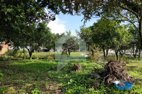 Villa i Barcelos, Braga, Barcelos - € 530.000 | Ref: 001933 - foto 20