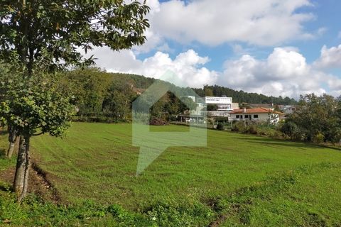 Villa i Barcelos, Braga, Barcelos - € 530.000 | Ref: 001933 - foto 21