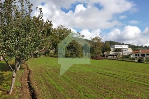 Villa i Barcelos, Braga, Barcelos - € 530.000 | Ref: 001933 - foto 23