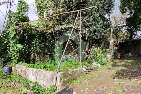 Villa i Barcelos, Braga, Barcelos - € 530.000 | Ref: 001933 - foto 24