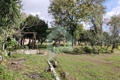 Villa i Barcelos, Braga, Barcelos - € 530.000 | Ref: 001933 - foto 25