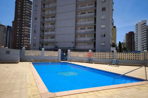 Studio i Benidorm, Alicante, Benidorm - € 135 000 | Ref: TGC-782 - foto 1