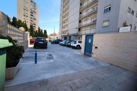 Studio i Benidorm, Alicante, Benidorm - € 135 000 | Ref: TGC-782 - foto 10