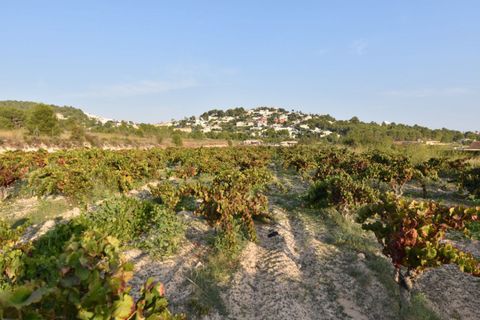 Terra a Calpe, Alicante, Calpe - € 141.530 | Ref: PD31 - foto 12