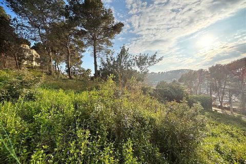Terra a Canyelles, Barcelona, Canyelles - € 60.000 | Ref: OI02080/5763 - foto 3