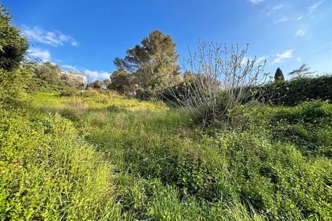 Terra a Canyelles, Barcelona, Canyelles - € 60.000 | Ref: OI02080/5763 - foto 4
