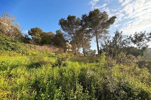 Terra a Canyelles, Barcelona, Canyelles - € 60.000 | Ref: OI02080/5763 - foto 5