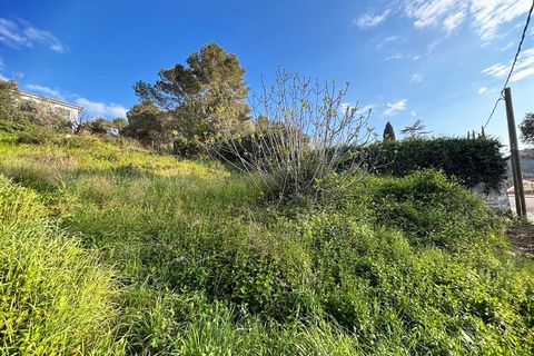 Terra a Canyelles, Barcelona, Canyelles - € 60.000 | Ref: OI02080/5763 - foto 7