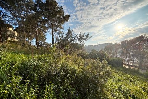 Terra a Canyelles, Barcelona, Canyelles - € 60.000 | Ref: OI02080/5763 - foto 8