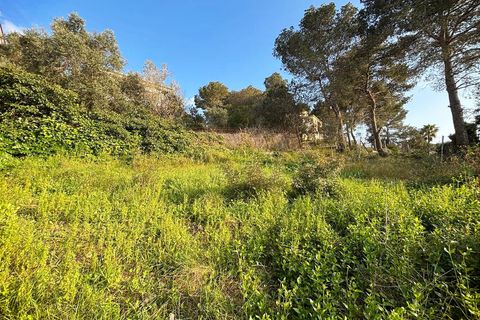 Terra a Canyelles, Barcelona, Canyelles - € 60.000 | Ref: OI02080/5763 - foto 9