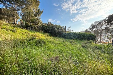 Terra a Canyelles, Barcelona, Canyelles - € 60.000 | Ref: OI02080/5763 - foto 11