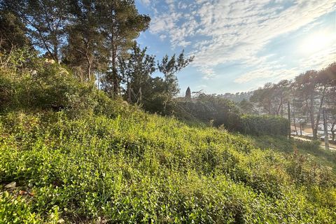 Terra a Canyelles, Barcelona, Canyelles - € 60.000 | Ref: OI02080/5763 - foto 12
