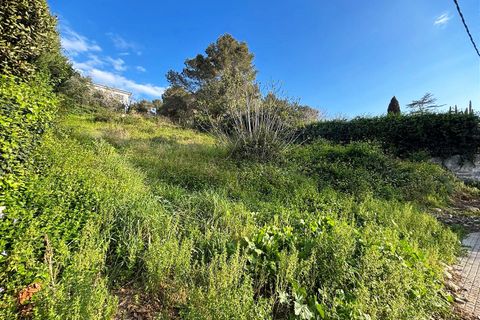 Terra a Canyelles, Barcelona, Canyelles - € 60.000 | Ref: OI02080/5763 - foto 14