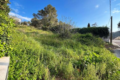 Terra a Canyelles, Barcelona, Canyelles - € 60.000 | Ref: OI02080/5763 - foto 17