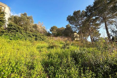 Terra a Canyelles, Barcelona, Canyelles - € 60.000 | Ref: OI02080/5763 - foto 18