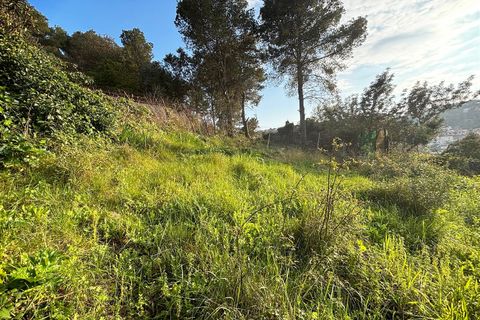 Terra a Canyelles, Barcelona, Canyelles - € 60.000 | Ref: OI02080/5763 - foto 20