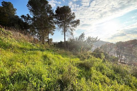 Terra a Canyelles, Barcelona, Canyelles - € 60.000 | Ref: OI02080/5763 - foto 21