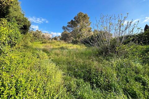 Terra a Canyelles, Barcelona, Canyelles - € 60.000 | Ref: OI02080/5763 - foto 22