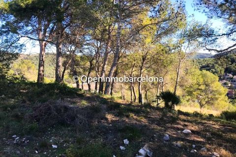 Terra a Canyelles, Barcelona, Canyelles - € 47.000 | Ref: OI01408/5763 - foto 3