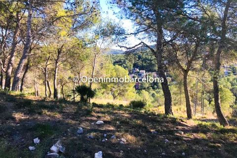 Terra a Canyelles, Barcelona, Canyelles - € 47.000 | Ref: OI01408/5763 - foto 4