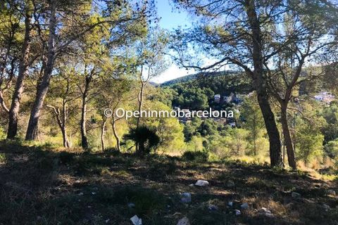 Terra a Canyelles, Barcelona, Canyelles - € 47.000 | Ref: OI01408/5763 - foto 5