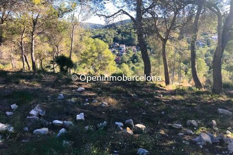 Terra a Canyelles, Barcelona, Canyelles - € 47.000 | Ref: OI01408/5763 - foto 6