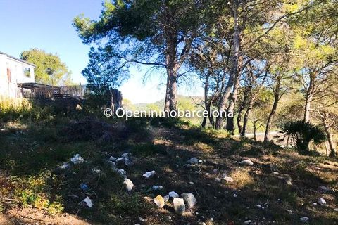 Terra a Canyelles, Barcelona, Canyelles - € 47.000 | Ref: OI01408/5763 - foto 7