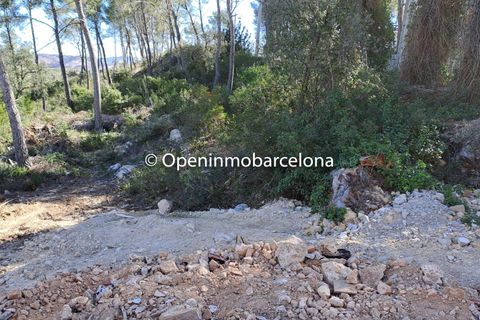 Helårsgrund i Olivella, Barcelona, Olivella - € 36.000 | Ref: OI01475/5763 - foto 6