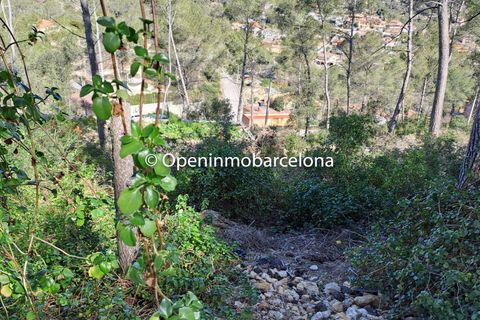 Helårsgrund i Olivella, Barcelona, Olivella - € 36.000 | Ref: OI01475/5763 - foto 17