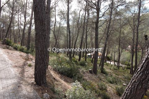 Helårsgrund i Olivella, Barcelona, Olivella - € 56.000 | Ref: OI01480/5763 - foto 1