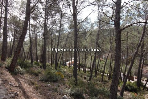 Helårsgrund i Olivella, Barcelona, Olivella - € 56.000 | Ref: OI01480/5763 - foto 2