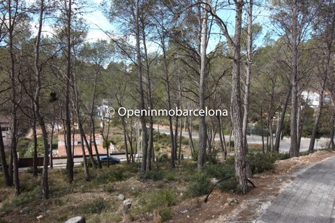 Helårsgrund i Olivella, Barcelona, Olivella - € 56.000 | Ref: OI01480/5763 - foto 3