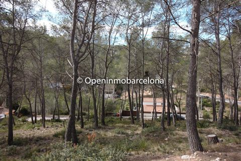 Helårsgrund i Olivella, Barcelona, Olivella - € 56.000 | Ref: OI01480/5763 - foto 5