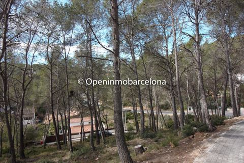 Helårsgrund i Olivella, Barcelona, Olivella - € 56.000 | Ref: OI01480/5763 - foto 6
