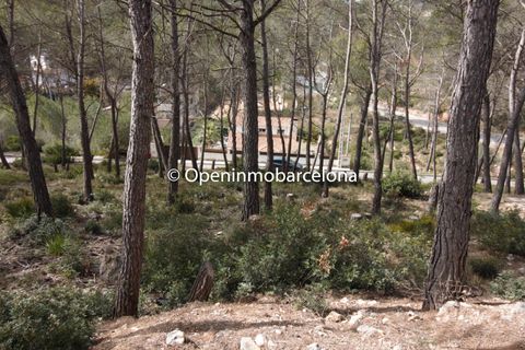 Helårsgrund i Olivella, Barcelona, Olivella - € 56.000 | Ref: OI01480/5763 - foto 7