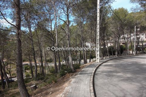 Helårsgrund i Olivella, Barcelona, Olivella - € 56.000 | Ref: OI01480/5763 - foto 9