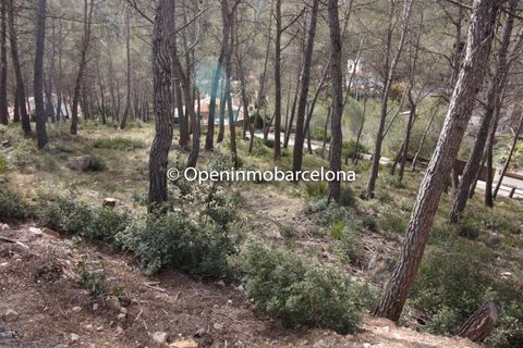 Helårsgrund i Olivella, Barcelona, Olivella - € 56.000 | Ref: OI01480/5763 - foto 10